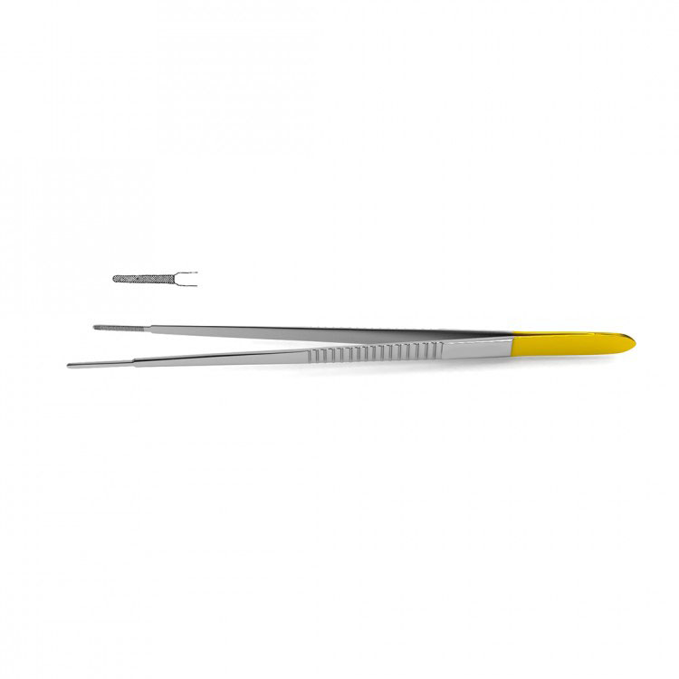 Evans Tissue Forceps – Tungsten Carbide – Doctor Instrument
